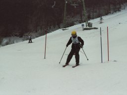 Hesselbach 2006